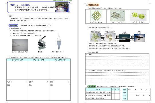 プランクトン観察　学習ノート